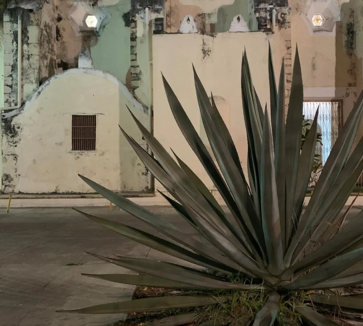 Villa Leonie In Merida, Yucatan