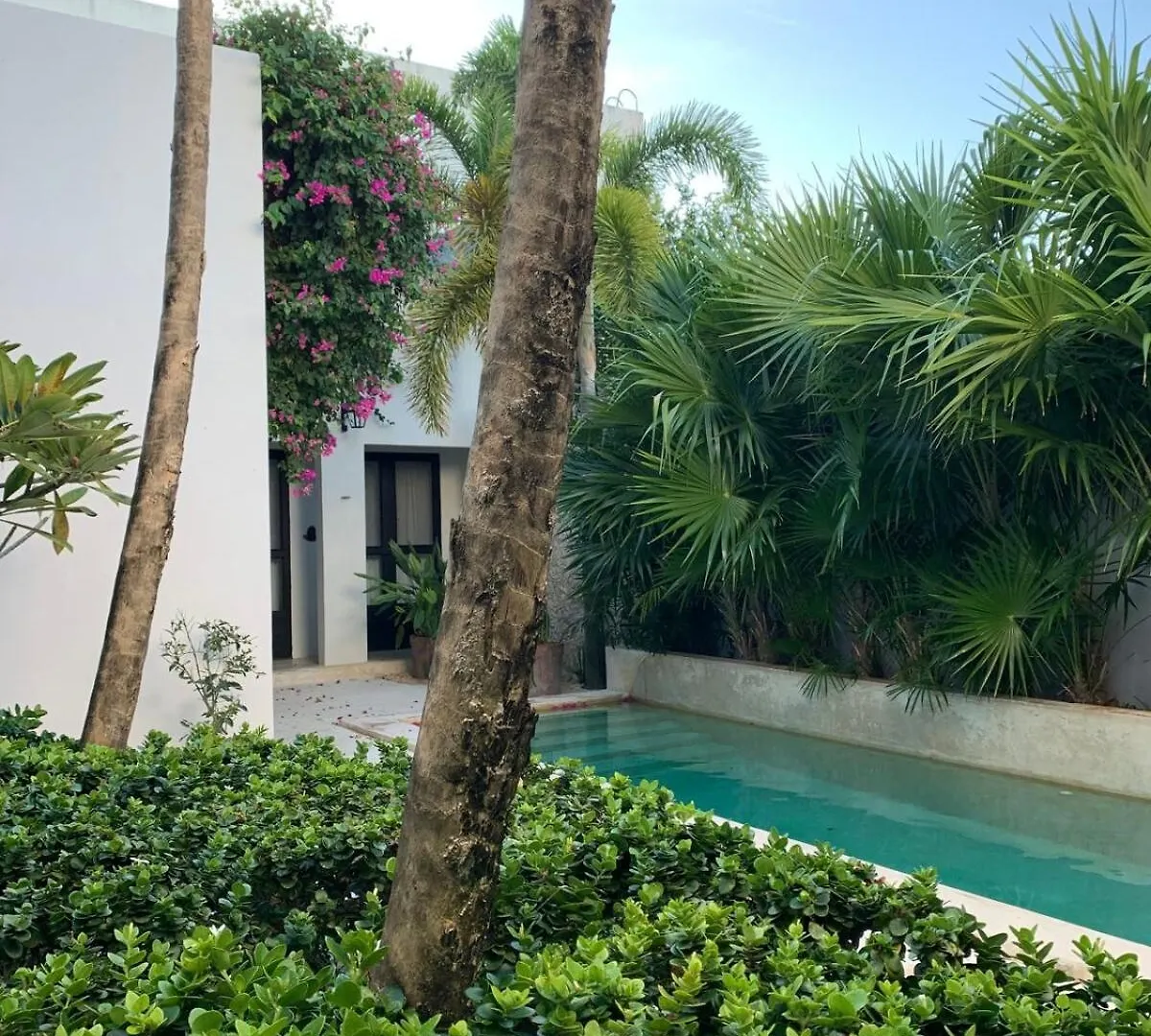 Villa Leonie In Merida, Yucatan Mexico