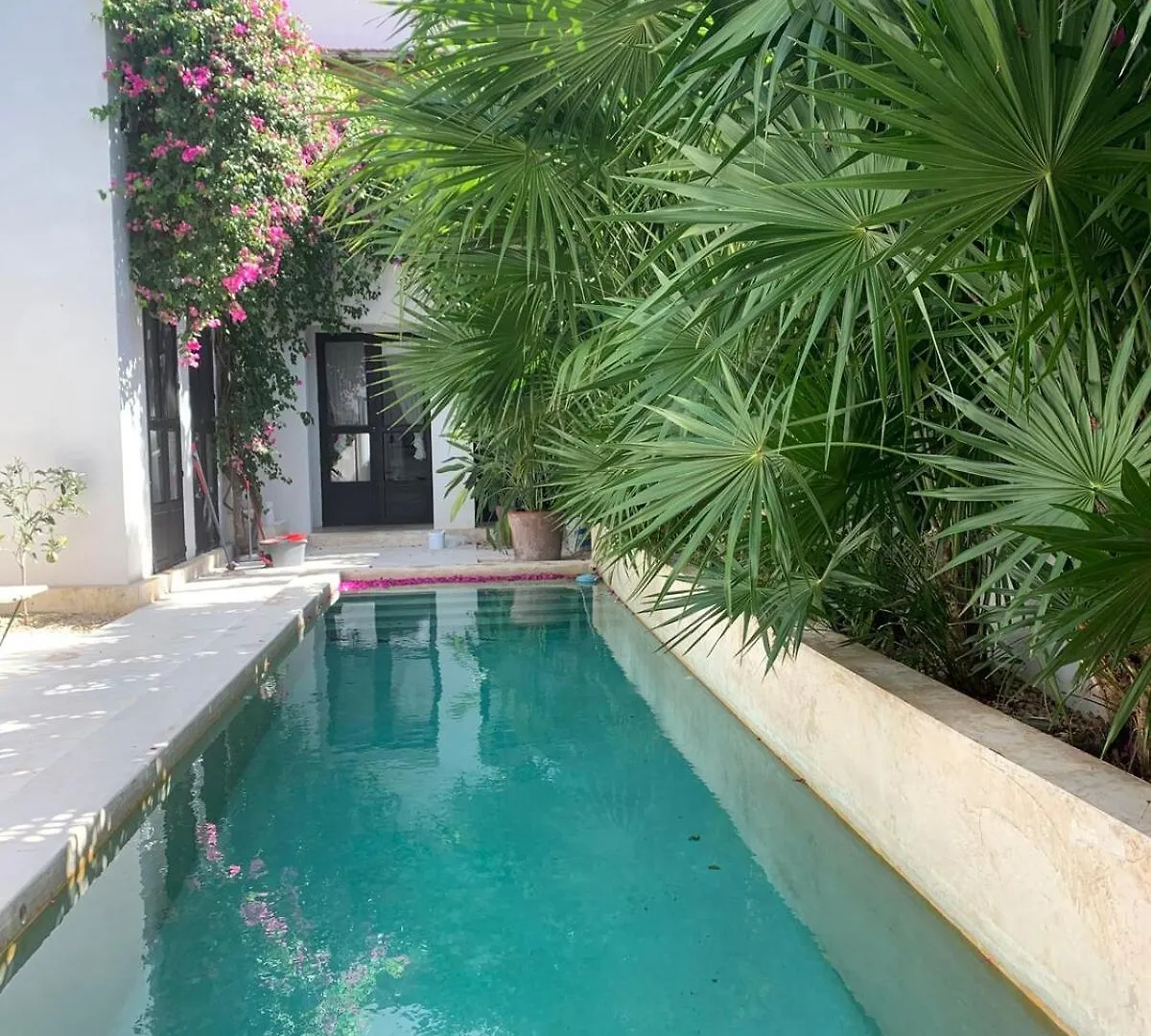 Villa Leonie In Merida, Yucatan Holiday home Merida
