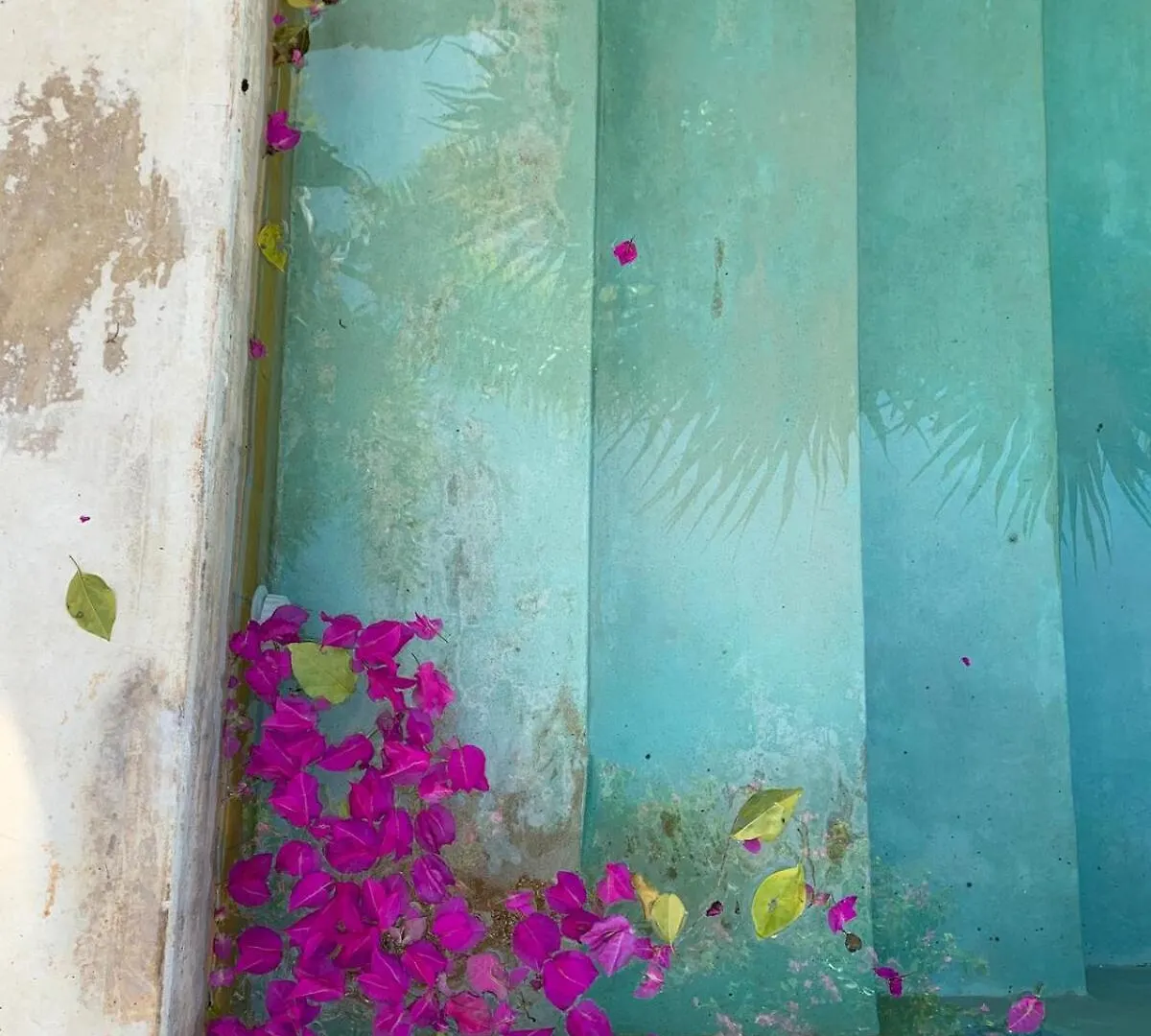 Holiday home Villa Leonie In Merida, Yucatan