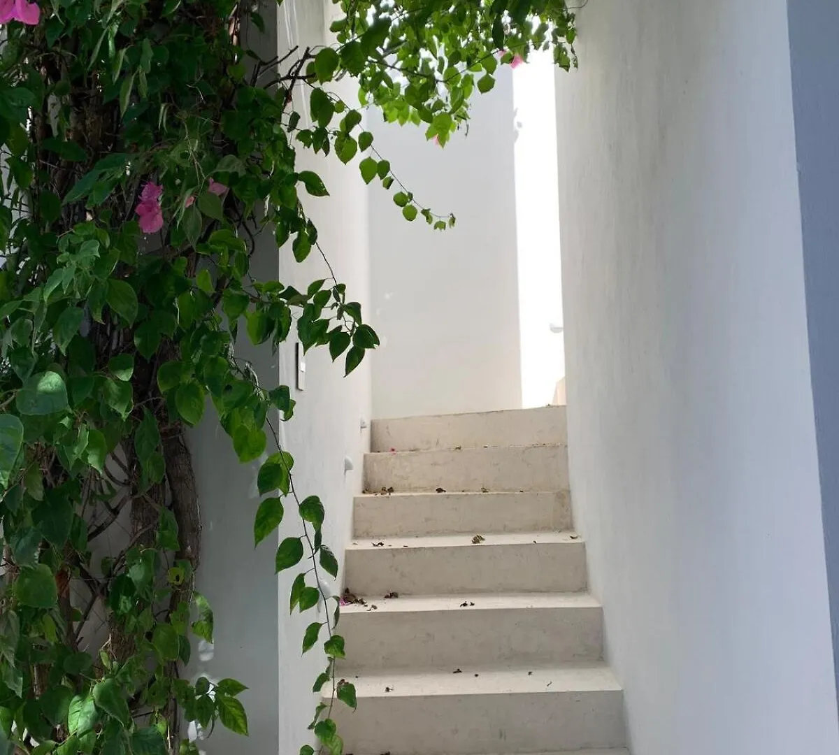 Holiday home Villa Leonie In Merida, Yucatan