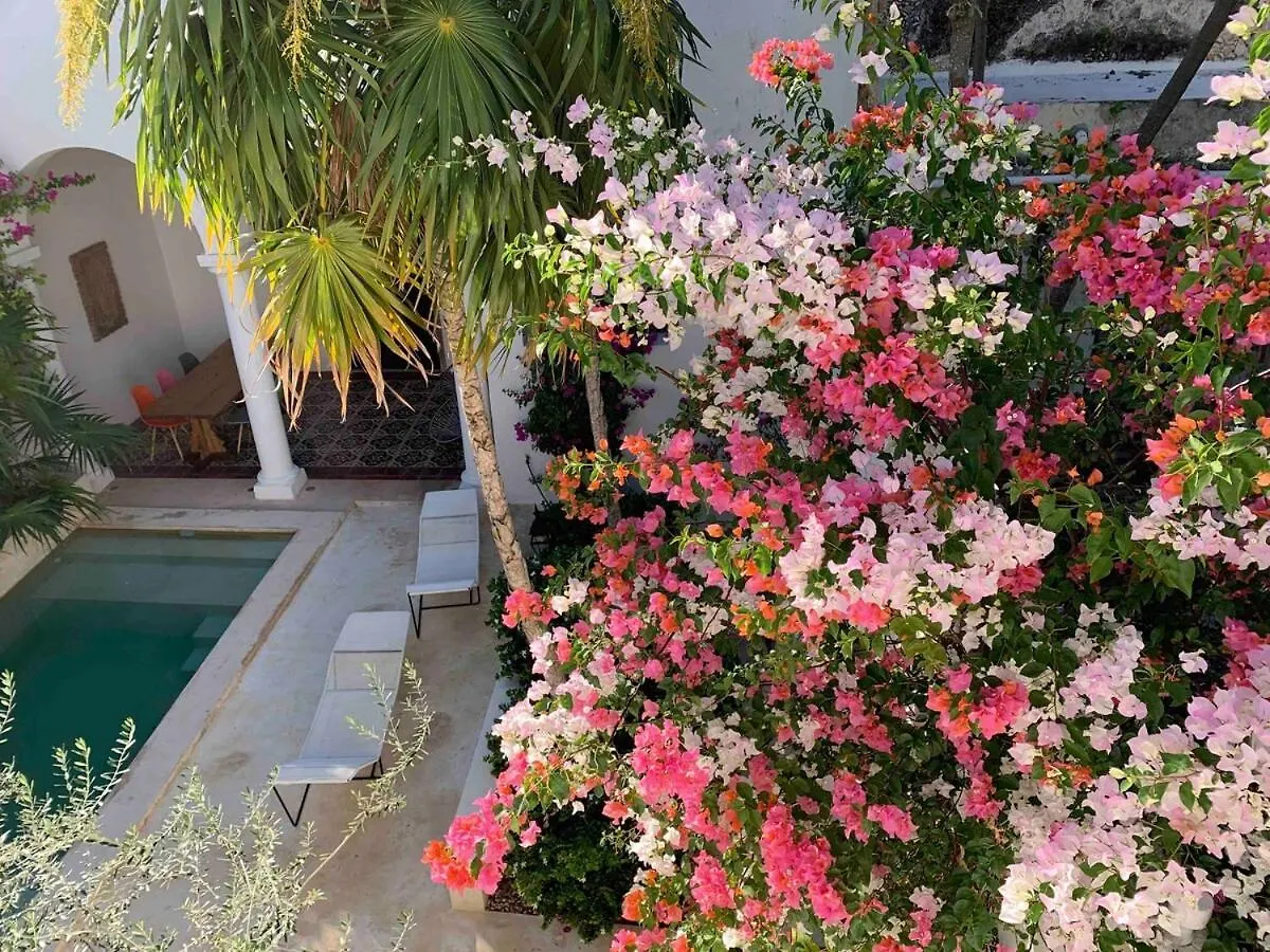 Villa Leonie In Merida, Yucatan location